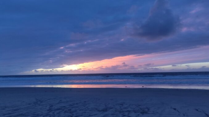 IMG_20221211_165535